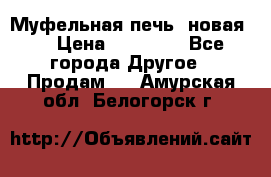 Муфельная печь (новая)  › Цена ­ 58 300 - Все города Другое » Продам   . Амурская обл.,Белогорск г.